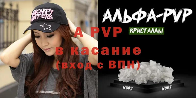 A PVP СК КРИС  Краснокамск 